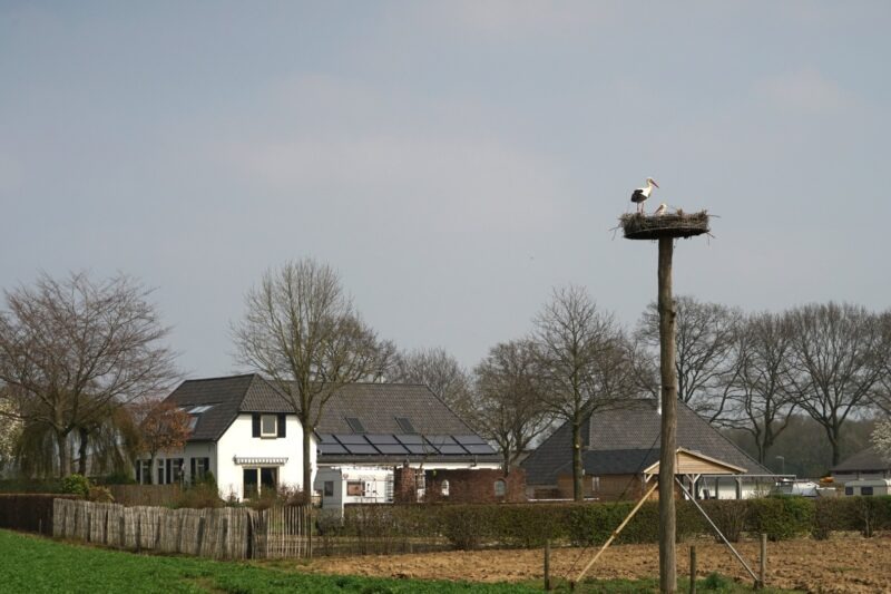 Landelijk overzicht van een wit woonhuis en bijgebouwen van een camping in Beers, met op de voorgrond een ooievaar op een nest bovenop een hoge houten paal.